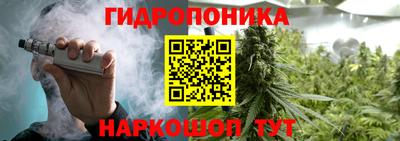 ГАЛЛЮЦИНОГЕННЫЕ ГРИБЫ Моздок