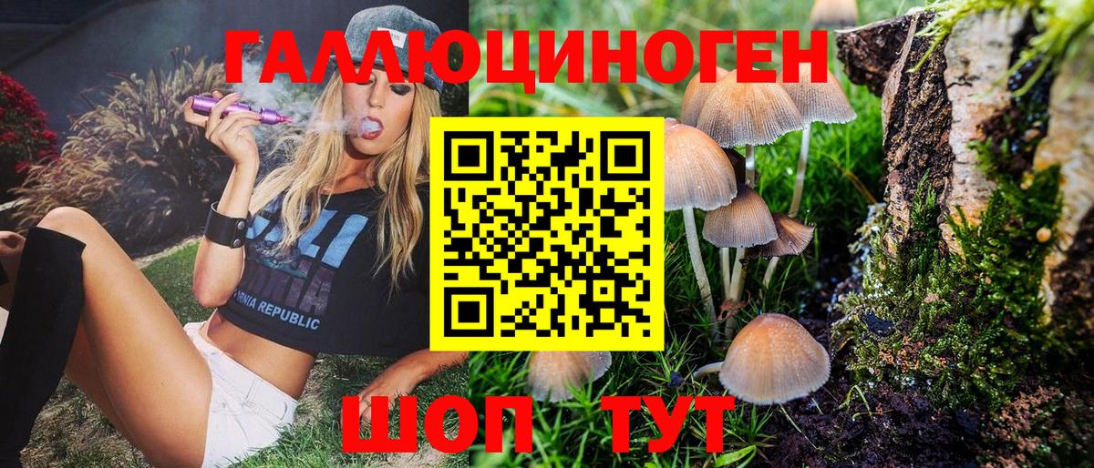 Псилоцибиновые грибы MAGIC MUSHROOMS Гурьевск