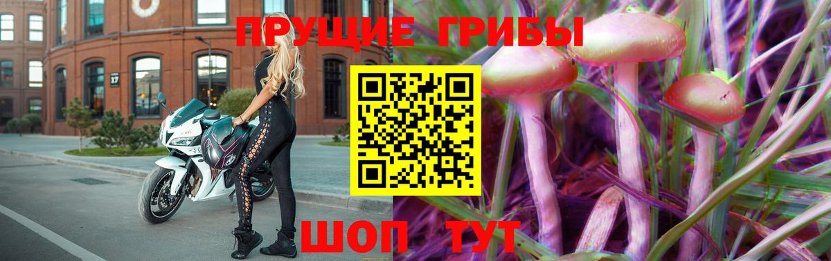 Гурьевск  Галлюциногенные грибы Psilocybine cubensis  Вход с VPN 